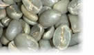 green arabica coffee beans