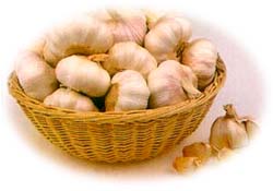 Red Garlic